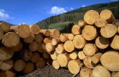 加拿大木材如何获取的的简单介绍