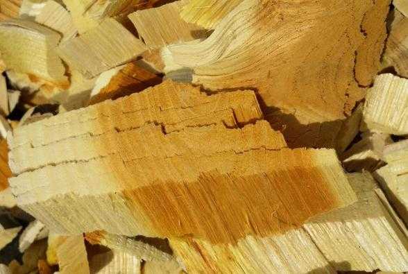 苦皮树木材材质如何（苦木树皮图片）