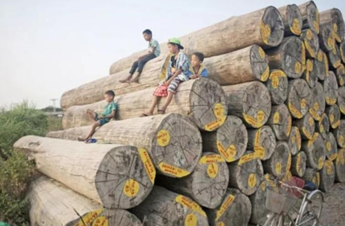 印度如何购木制品（印度如何购木制品进口）