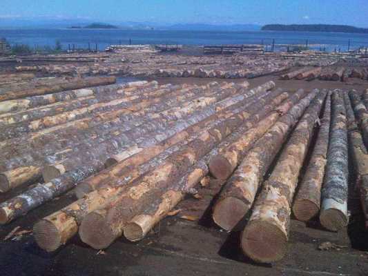 进口木材生意怎么做（进口木材赚钱吗）