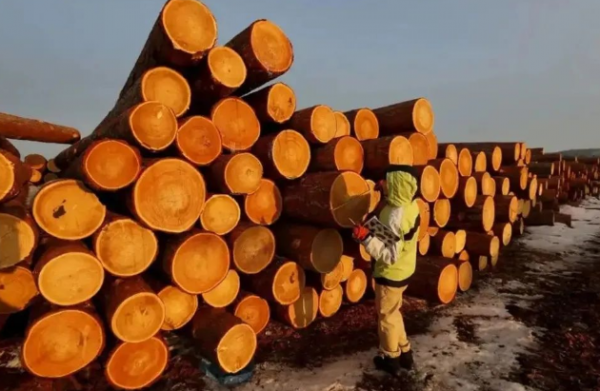 非洲木材如何进口国内（非洲木材进口关税是多少）