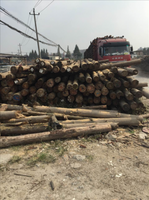 杭州如何获得木材（杭州木材加工场在什么地方）