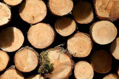 如何解决中国木材紧缺问题（如何解决中国木材紧缺问题的方法）