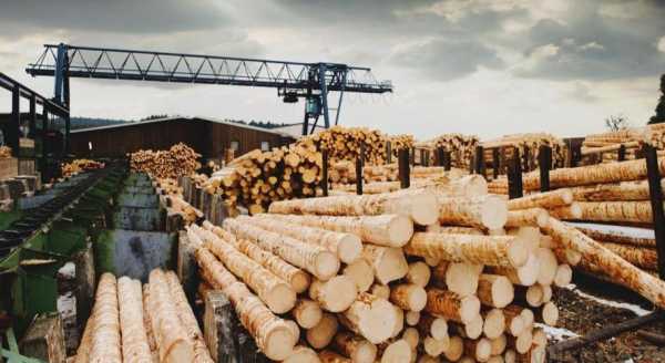 木头加工企业利润怎么样（木头加工项目）