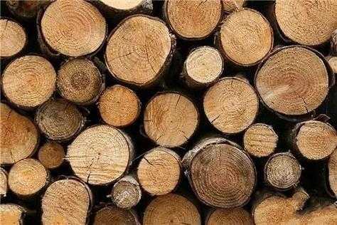 木材的优缺点如何（木材的两大缺点）