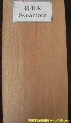 梧桐木板材质量如何（梧桐木质量怎么样）