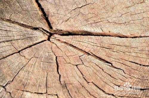 怎么防止木材干燥发裂（怎样防止木头裂开）