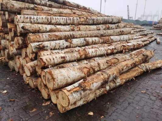 如何从俄罗斯进口木材的简单介绍