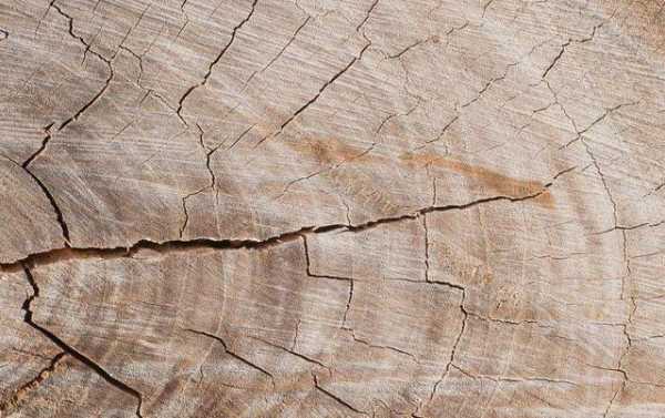 木材裂缝如何处理（木材裂缝如何处理好）