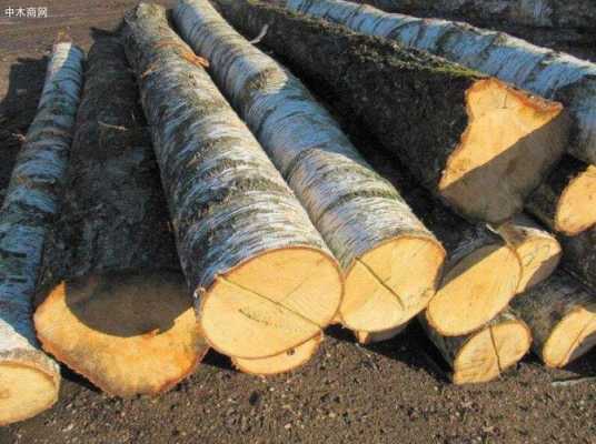 乌克兰木材怎么卖的简单介绍