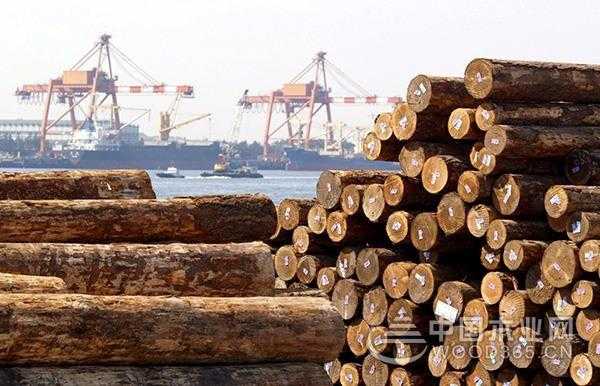如何从越南进口木材（越南进口木材关税）