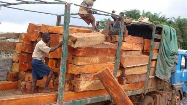 加纳木材市场如何（加纳木材市场如何盈利）