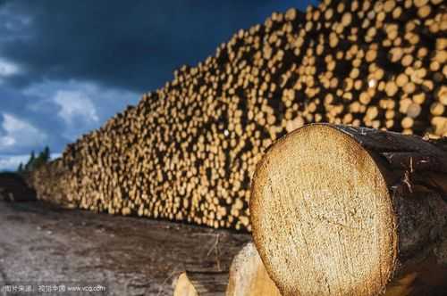 如何采购境外木材（怎么从国外进口原木）