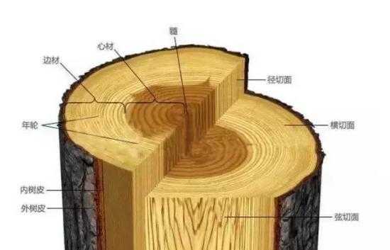 如何区分木料（怎么分辨各种木料?）