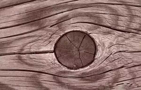 木头是如何形成的（木头是怎么样）