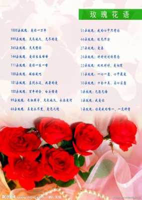 玫瑰花不同颜色花语（每种颜色的玫瑰花的花语分别是什么）