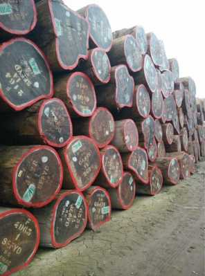 张家港口木材质量如何（张家港进口木材有哪些品种）