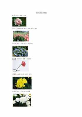 各种常见花的寓意及花语（各种花的花语和寓意及图片）