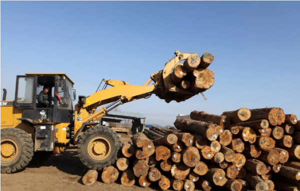 怎么办木材加工企业（木材加工企业税收风险）