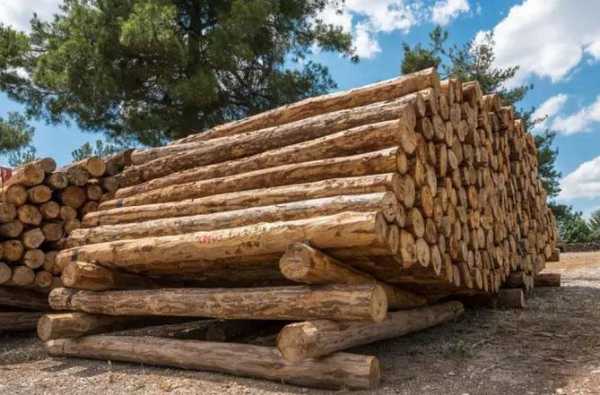 如何提高木材出材（提高木材韧性方法）