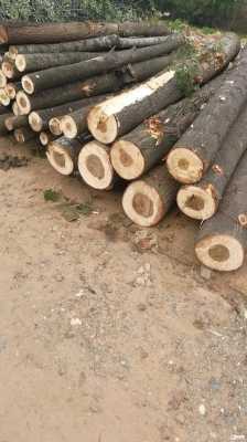 关于杨木原木材市场的信息