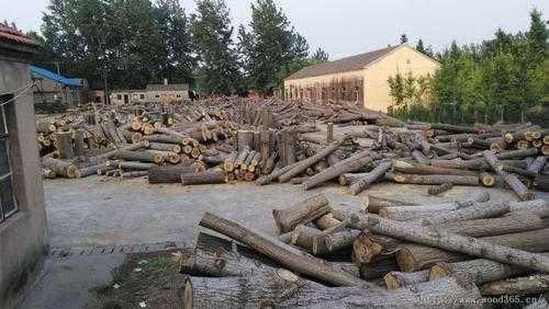 喀什杨木批发木材市场（喀什木材加工厂电话）