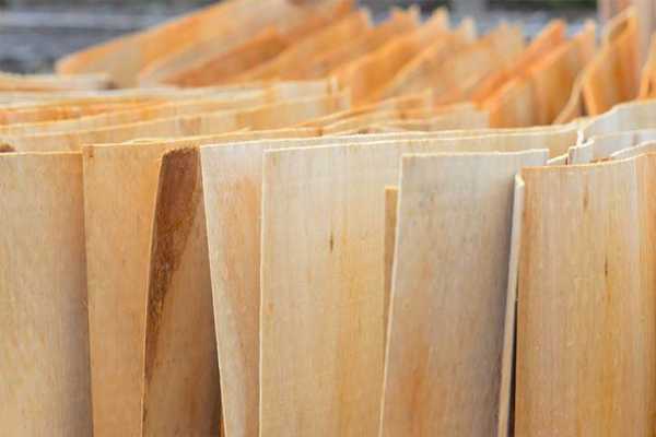 关于杨木板和桉木板区别的信息