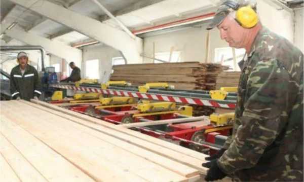 关于白俄罗斯木材怎么运到中国的信息