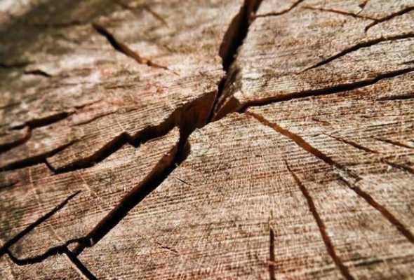 关于怎么样能不使木材开裂的信息