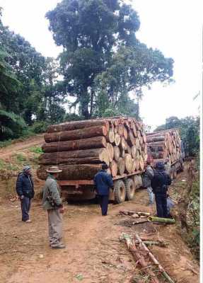 缅甸自己怎么买木头（缅甸木材怎么运到中国）