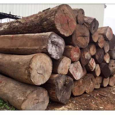 缅甸家具木材市场重庆（缅甸木材进口）