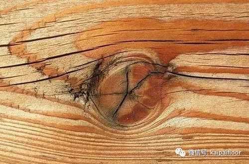 木材死节如何修补（枯死的木头）