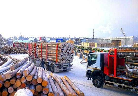 如何把俄罗斯木材运到中国（俄罗斯木材进口一般走什么运输方式）