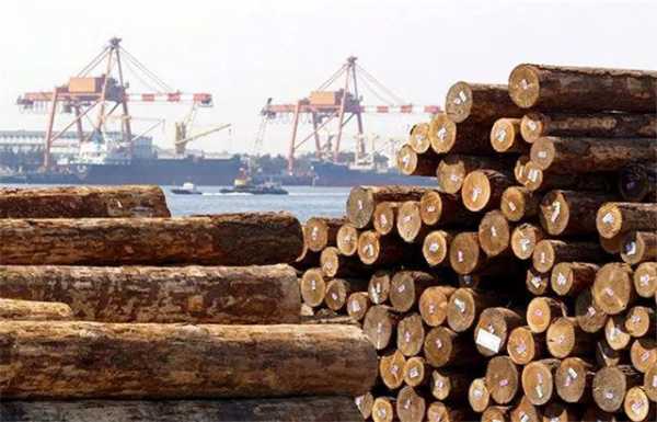 木材进口如何控制风险（木材进口如何控制风险问题）