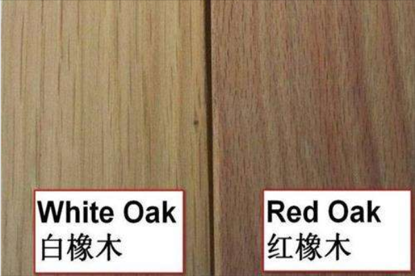 红橡和白蜡木怎么区分（红橡和白蜡木哪个好）