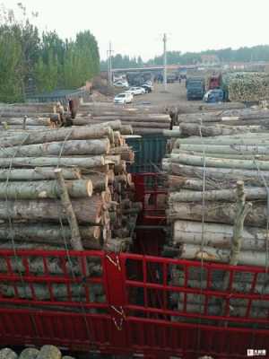 原木家具木材市场（原木市场批发）