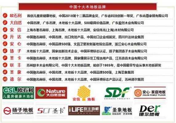 包含中国环保地板十大名牌的词条