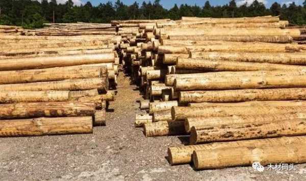 木材生意怎么样（木材行业做什么赚钱）