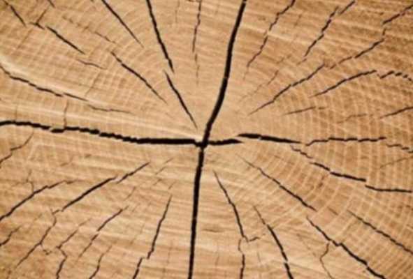 木材开裂怎么取材（木材开裂处理方法）