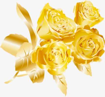 金色玫瑰花花语（金色玫瑰的花语是什么?）