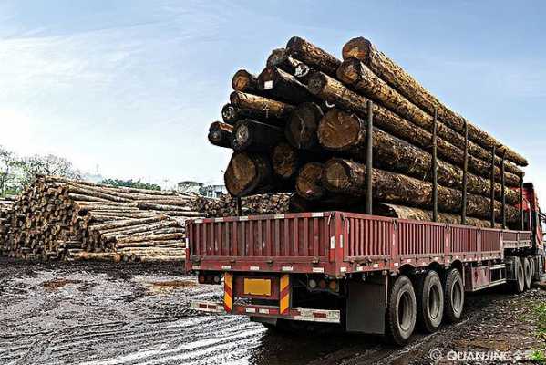 市内木料怎么运送（木材运输一般有什么运输方式）