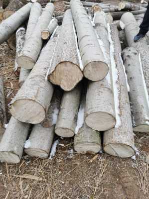 新疆杨木木材价格（新疆杨木木材价格查询）