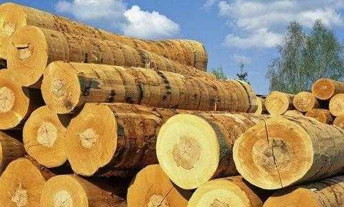非洲木材怎么进口（非洲木材进口关税）