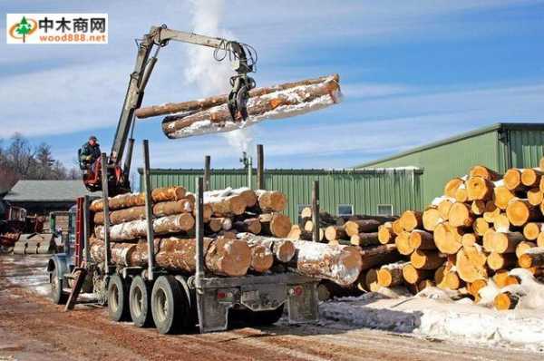 美国生产家具木材（美国生产家具木材的企业）