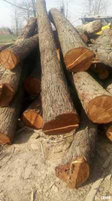 椿树木材可做家具（椿树木材）