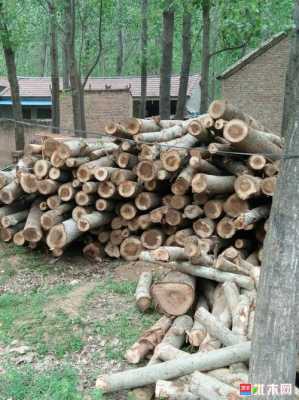 新疆杨木回收（新疆旧木材市场）