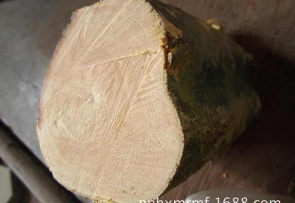黄杨木材与白杨木材的区别（黄杨木材与白杨木材的区别在哪里）