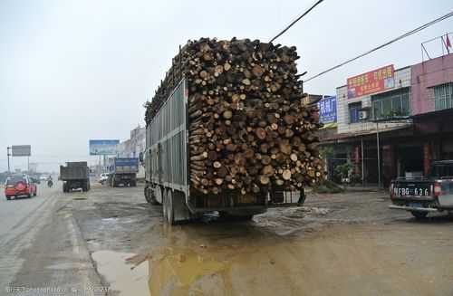 桂林家具木材批发市场（桂林木材市场最大的在哪里）