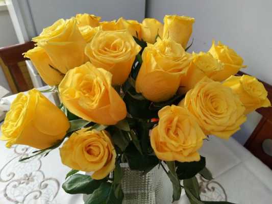 4支黄玫瑰花语（黄玫瑰几朵代表什么）