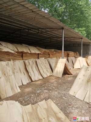 山东那里杨木木材厂多的简单介绍